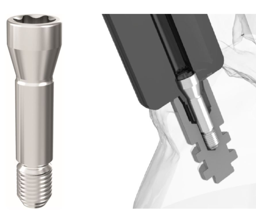 Picture for category Screws