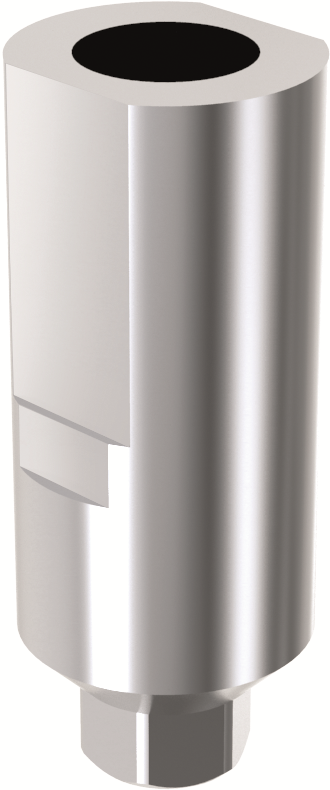 P28 USA - Dental Art. MODEL SCANBODY