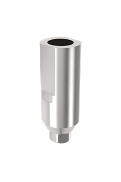 Picture of Model Scan Body